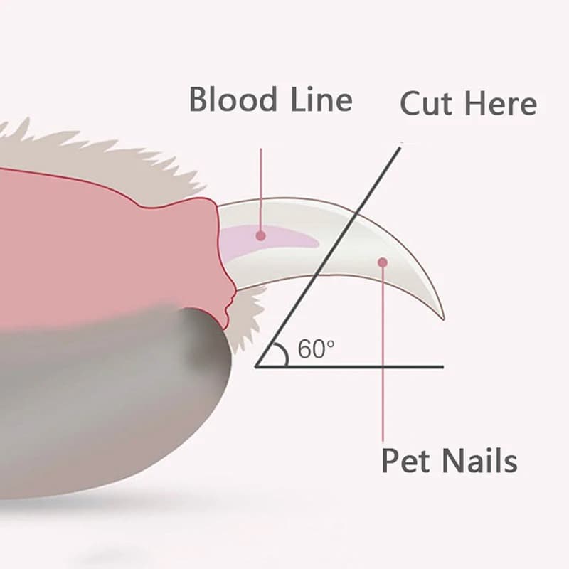 Pet Nail Clippers - view 6